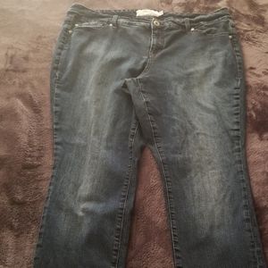 Torrid Skinny Jeans